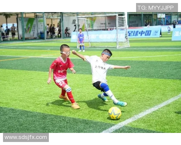 开创足球新纪元足球星牌助力青少年体育发展与全民健身目标达成