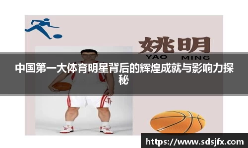 中国第一大体育明星背后的辉煌成就与影响力探秘